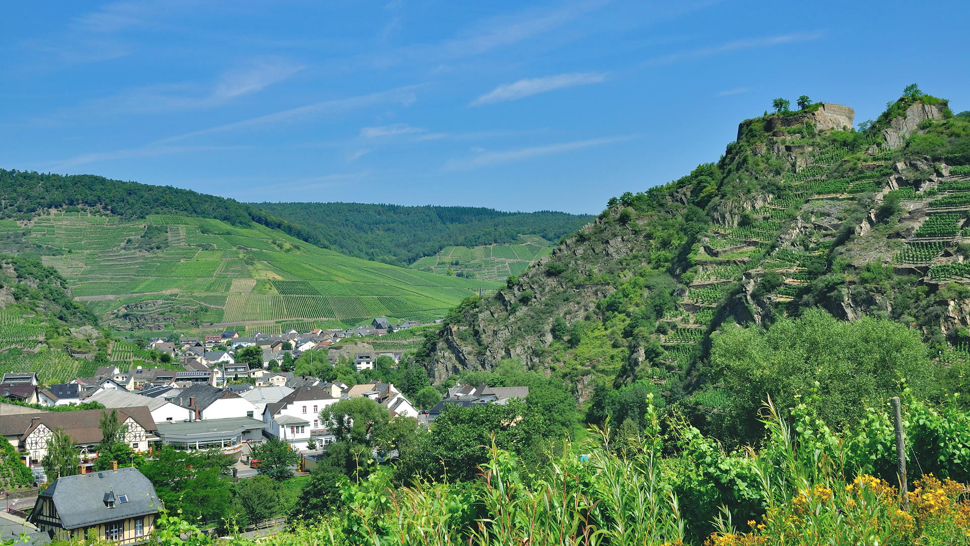 der Weinort Mayschoss an der Ahr und die Saffenburg im Sommer.